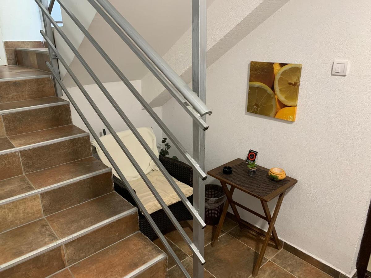 A6 Apartment Novi Sad Ngoại thất bức ảnh