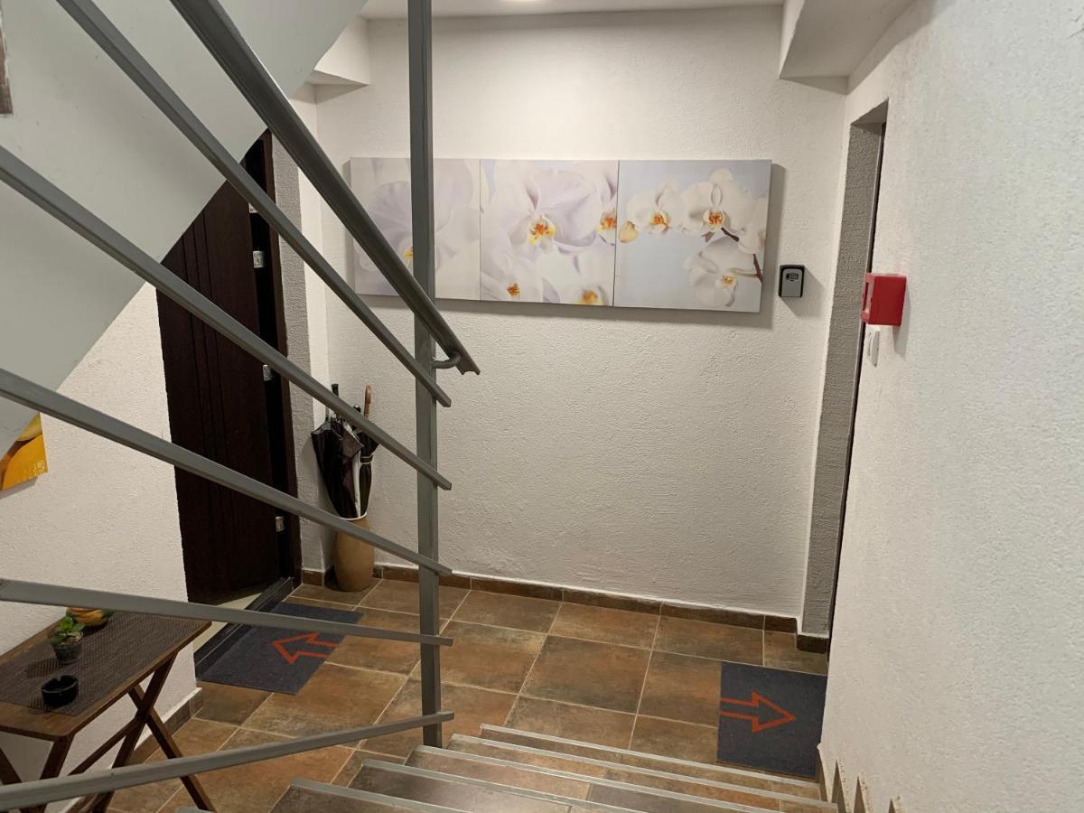 A6 Apartment Novi Sad Ngoại thất bức ảnh